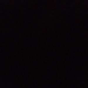 Meet your Posher, Amya